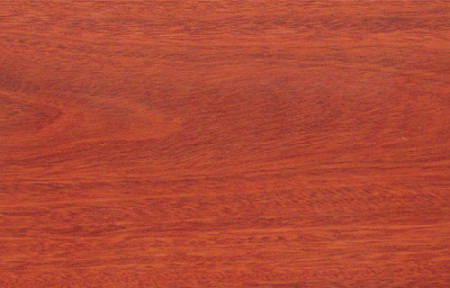 Red sandalwood