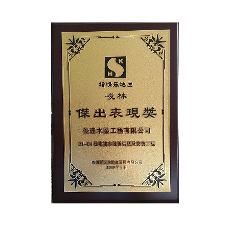 Award for Outstanding Performance